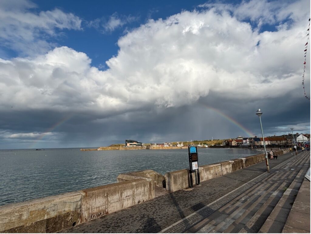 Clidive St Abbs Trip. Image of Eyemouth Harbour