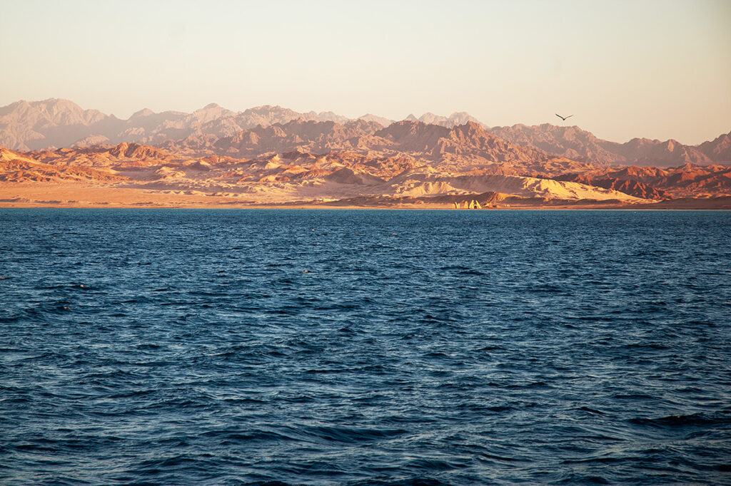 A view from the boat at Egyptian coast